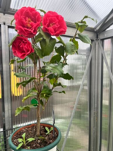 Holly Bright 24.04.2025